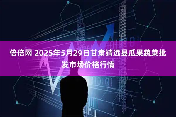 倍倍网 2025年5月29日甘肃靖远县瓜果蔬菜批发市场价格行情