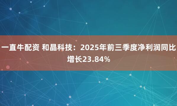 一直牛配资 和晶科技：2025年前三季度净利润同比增长23.84%