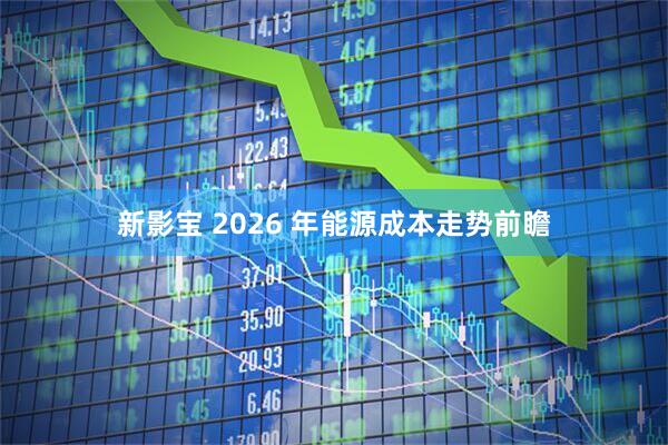 新影宝 2026 年能源成本走势前瞻