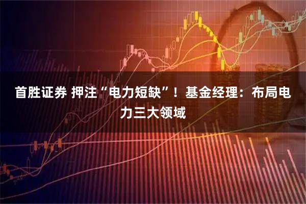 首胜证券 押注“电力短缺”！基金经理：布局电力三大领域
