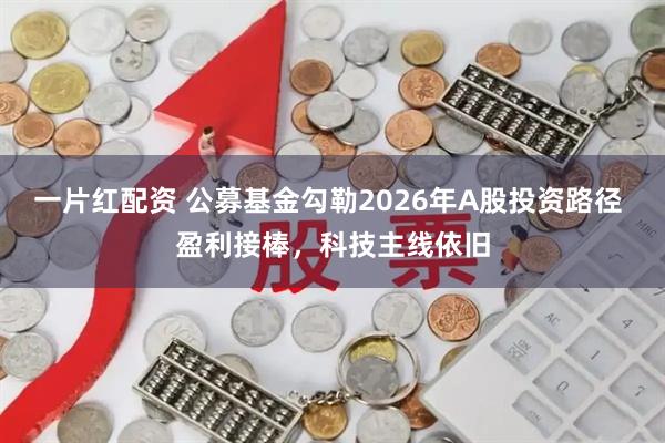 一片红配资 公募基金勾勒2026年A股投资路径 盈利接棒，科技主线依旧