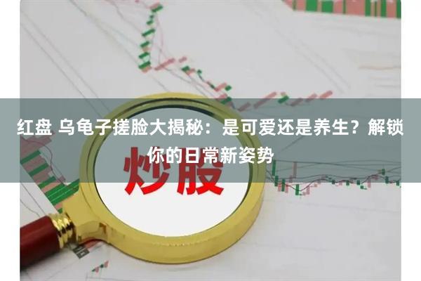 红盘 乌龟子搓脸大揭秘：是可爱还是养生？解锁你的日常新姿势